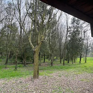 Apartmán Woods, Verona